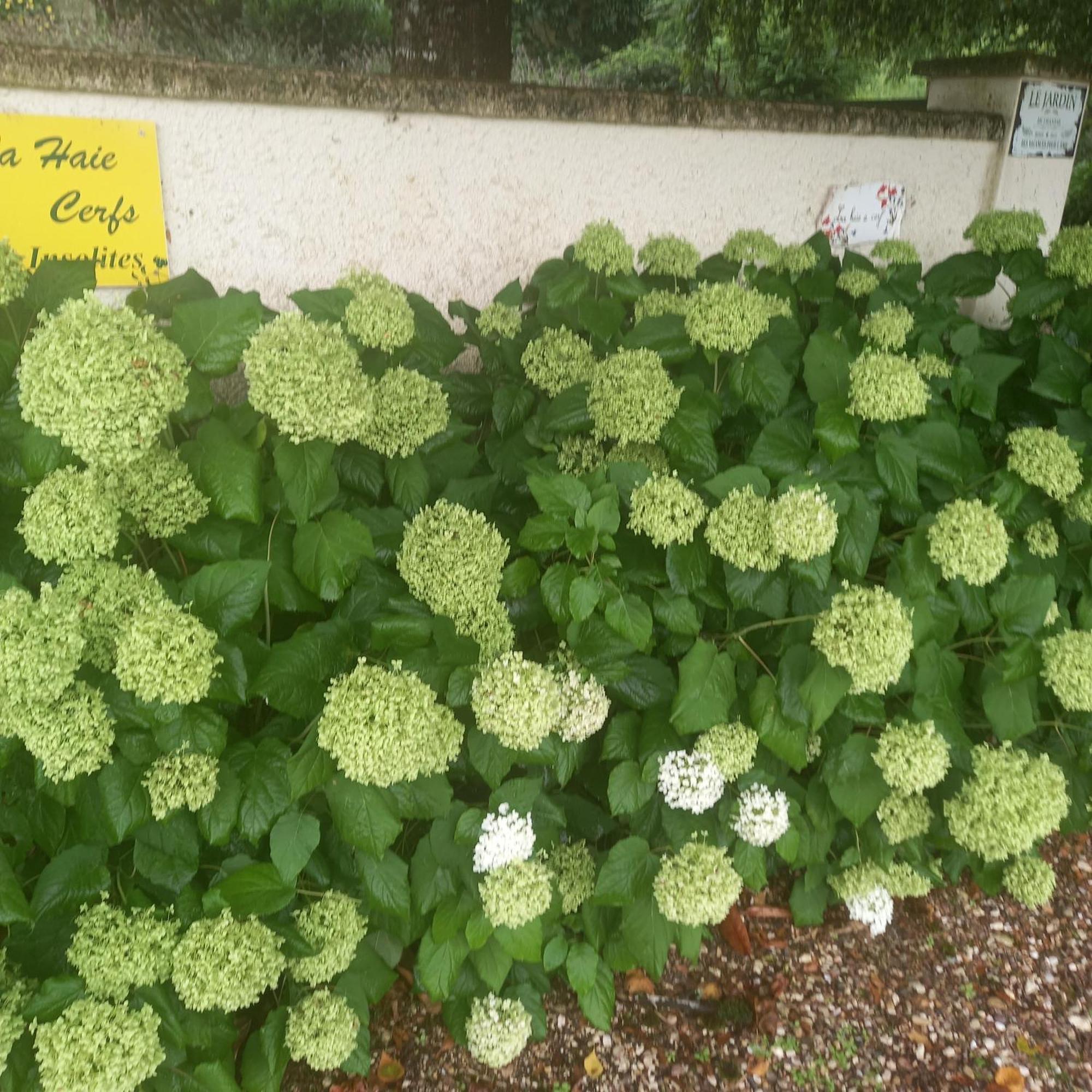 Les Insolites Watronville Bagian luar foto