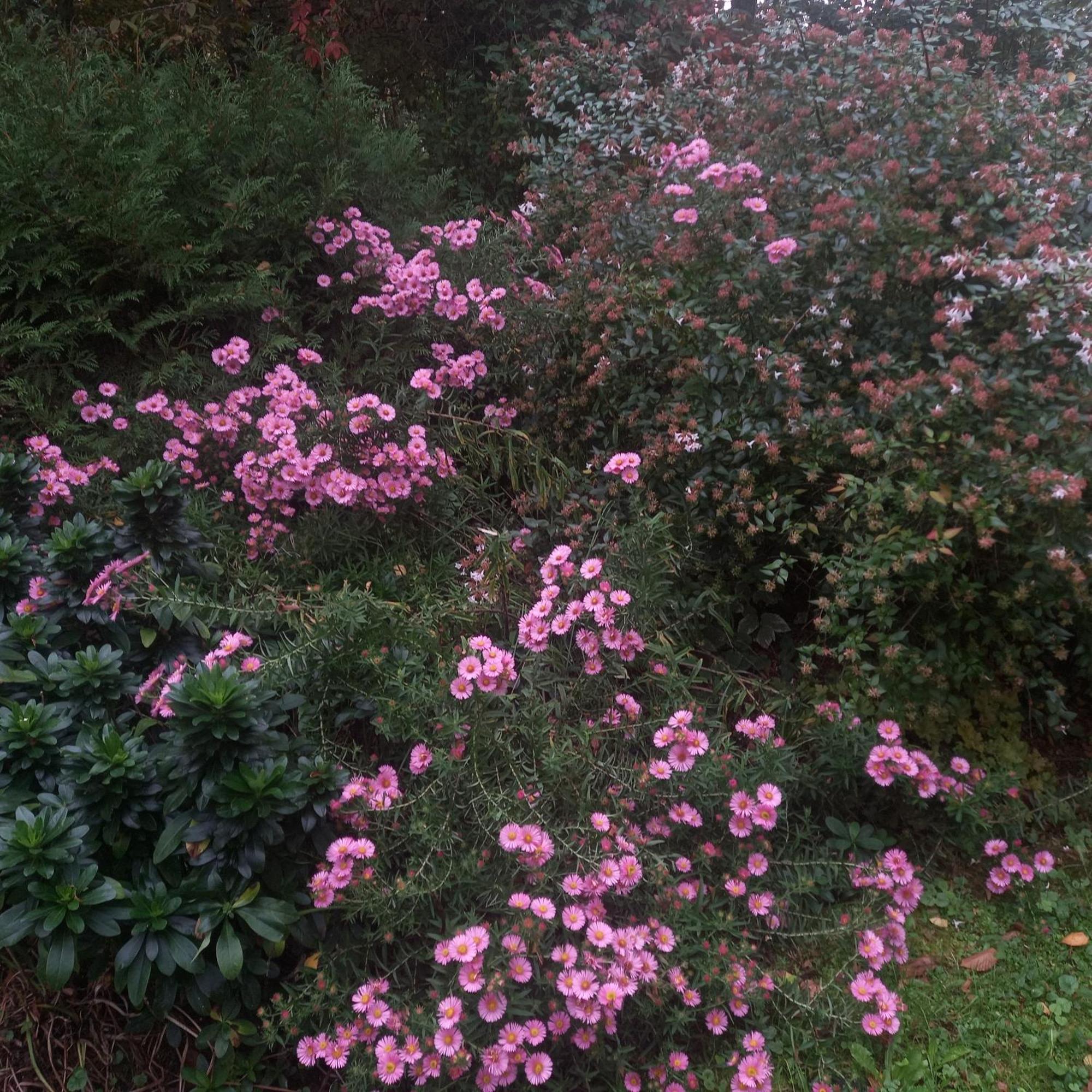 Les Insolites Watronville Bagian luar foto