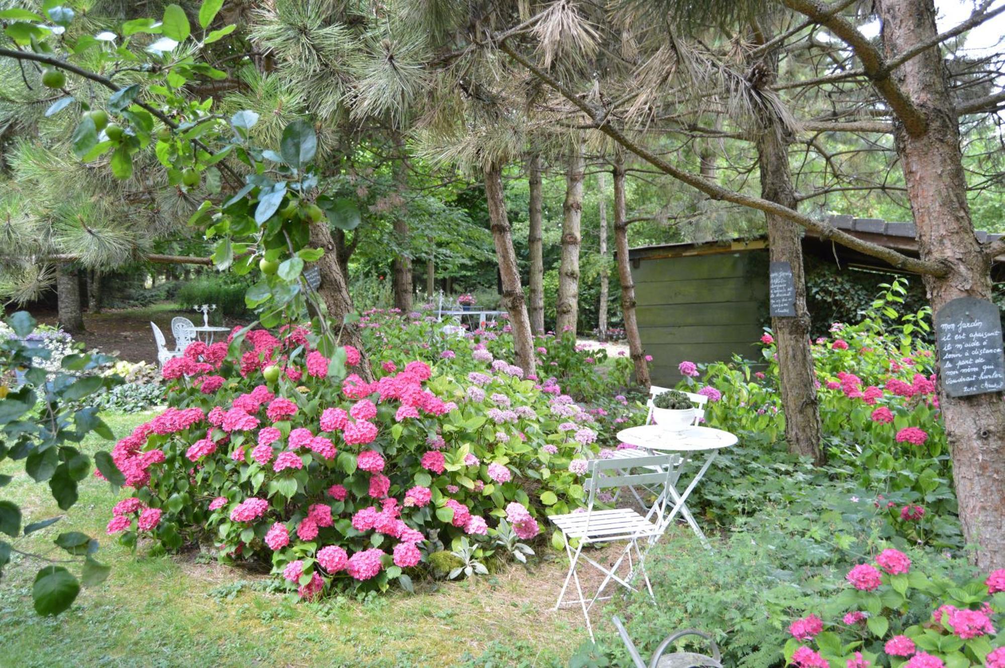 Les Insolites Watronville Bagian luar foto