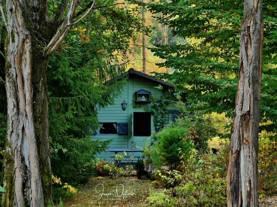Les Insolites Watronville Ruang foto