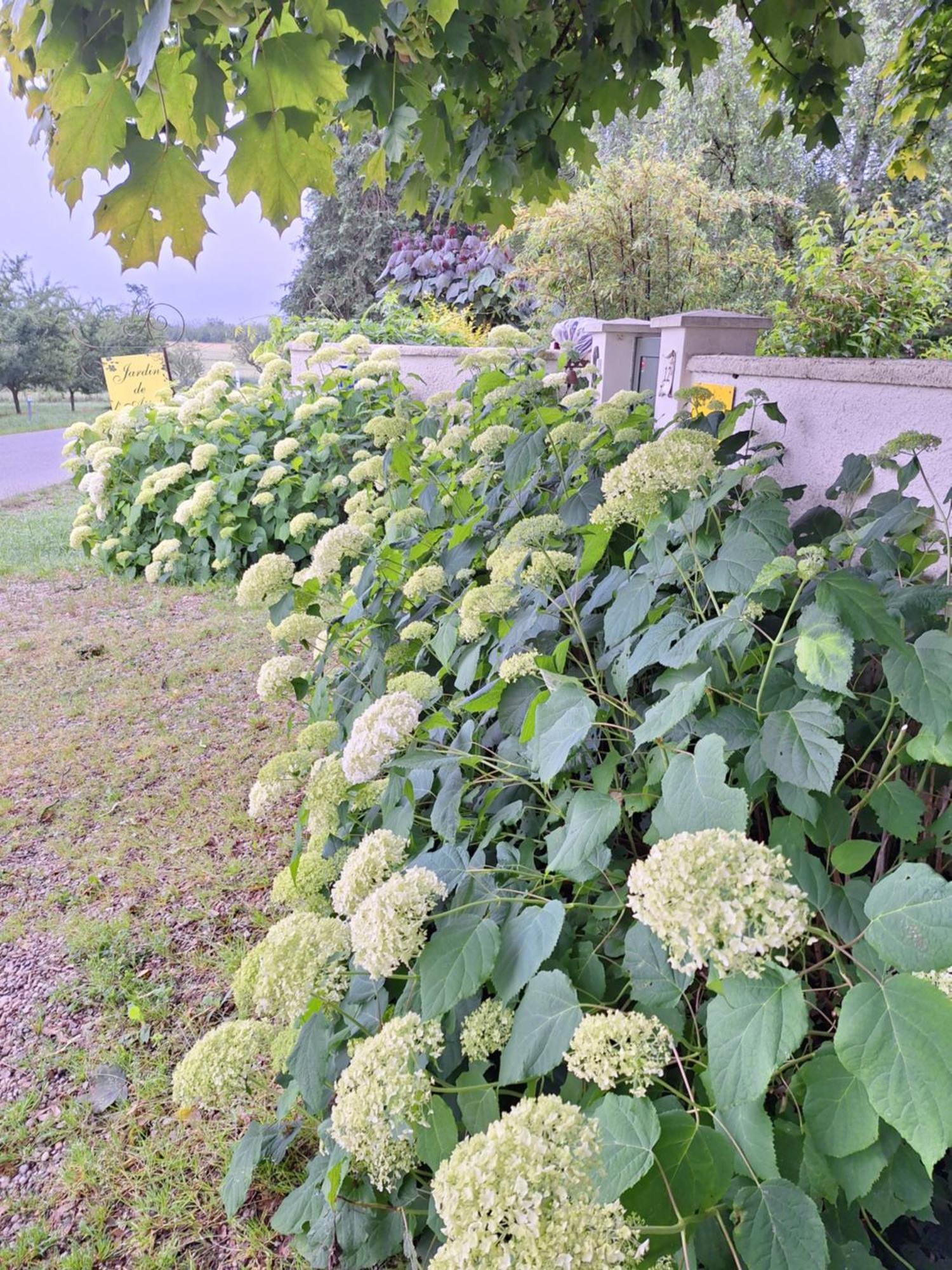 Les Insolites Watronville Bagian luar foto