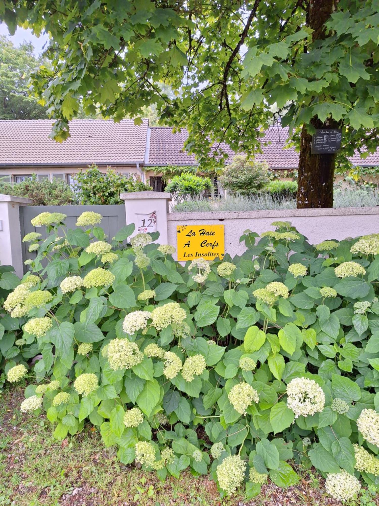 Les Insolites Watronville Bagian luar foto