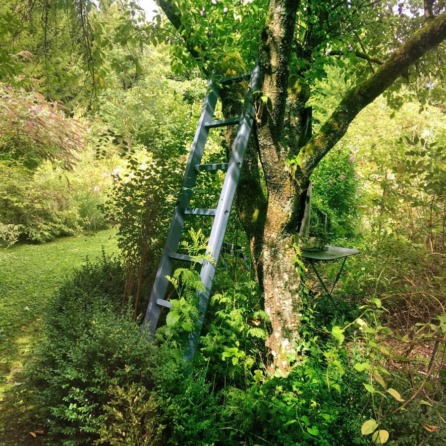 Les Insolites Watronville Bagian luar foto